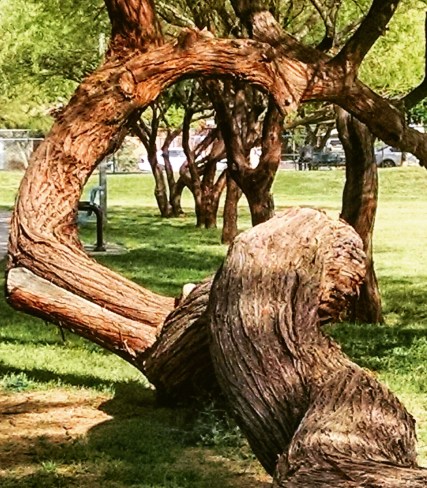 IMG_20170326_095844_889